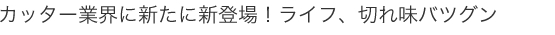 Jb^[ƊEɐVɐVoICtA؂ꖡocO